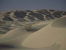 Arabien, Oman-Expeditionen - Sandwste Rub al Khali