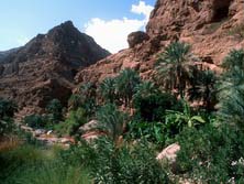 Arabien, Oman-Expeditionen - Wadi Tiwi im stlichen Hajar Gebirge
